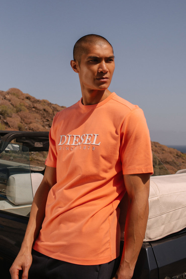 Lincoln Tee Fresh Salmon
