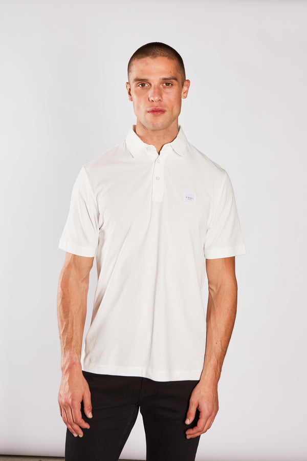 Dre Polo Antartic