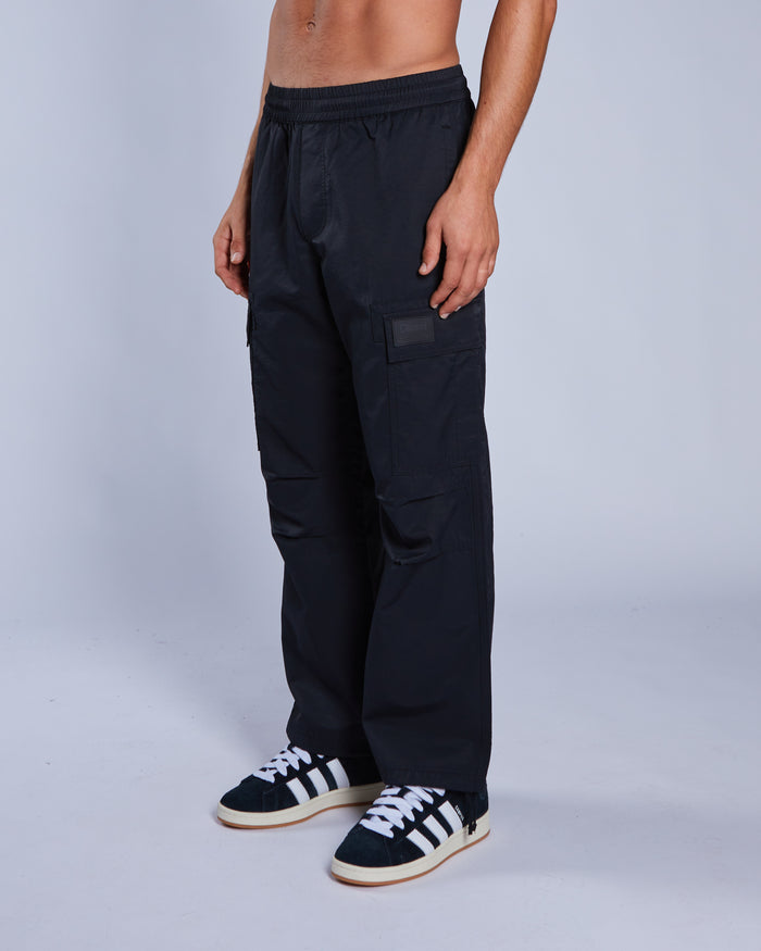 Newton Pant