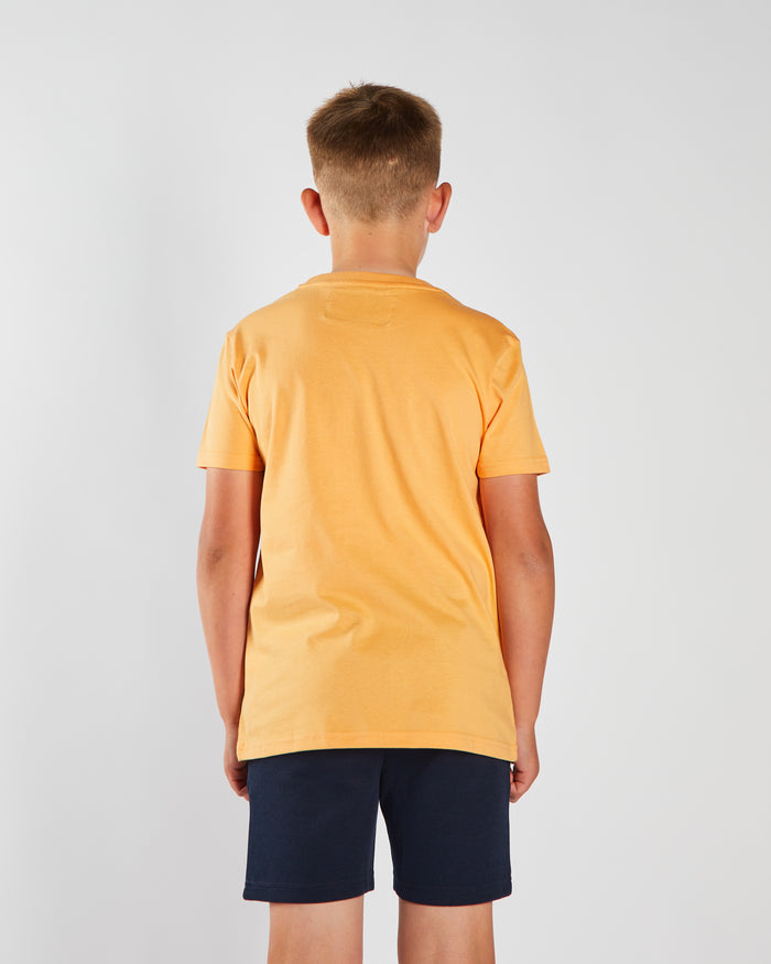 Radcliff Tee Coral