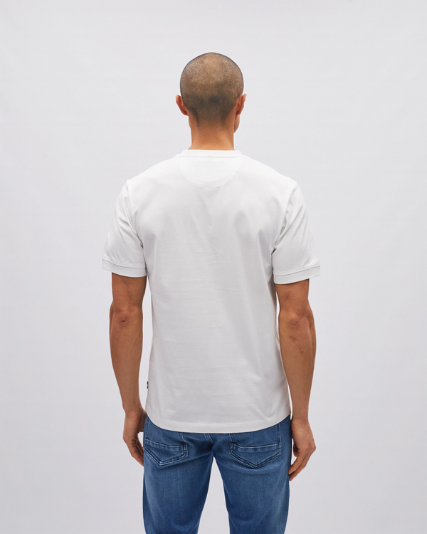 Stanley Tee Antarctic