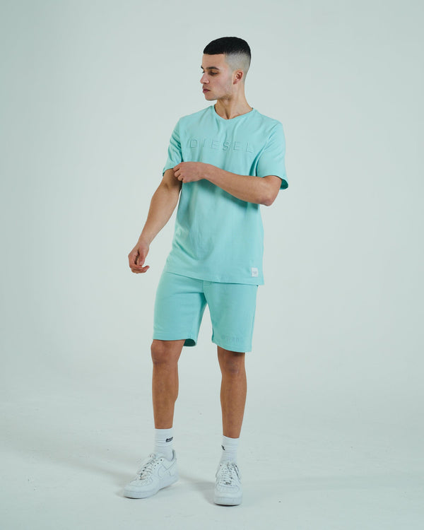 Soloman Short Mint Ice Cream