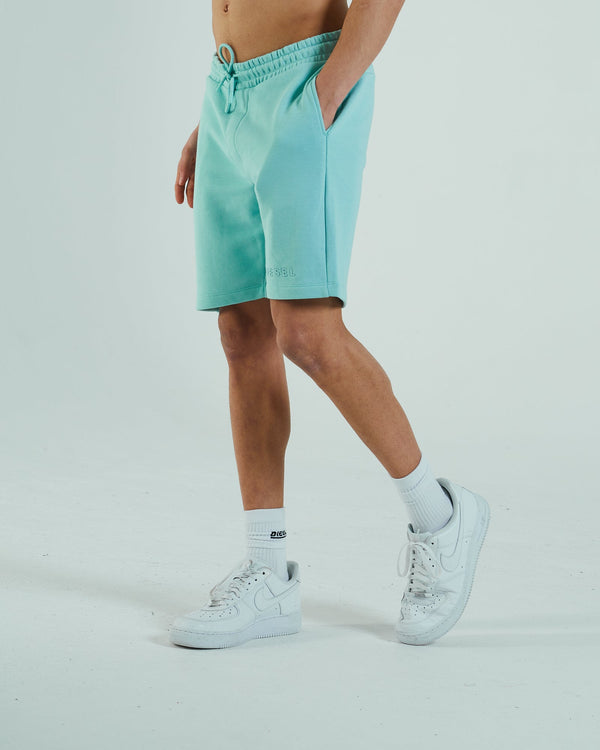 Soloman Short Mint Ice Cream